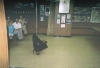 First image